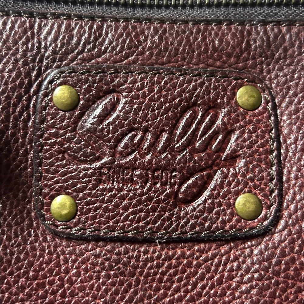 Men's Scully Brown‎ Leather Crossbody Bag 924